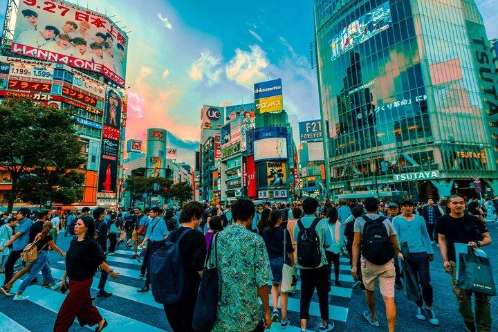 Tour privado por Tokio