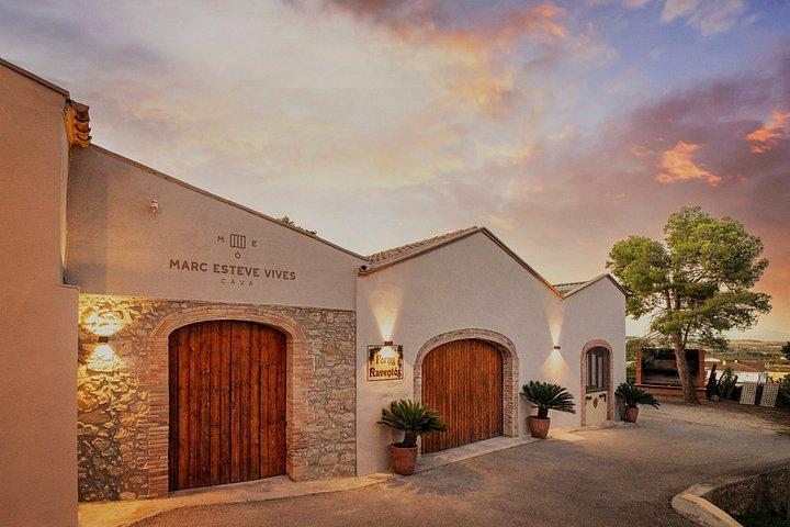 Visite privée de dégustation de vin près de Barcelone demi-journée