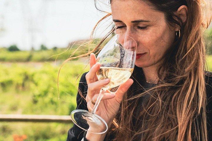Visite privée de dégustation de vin près de Barcelone demi-journée