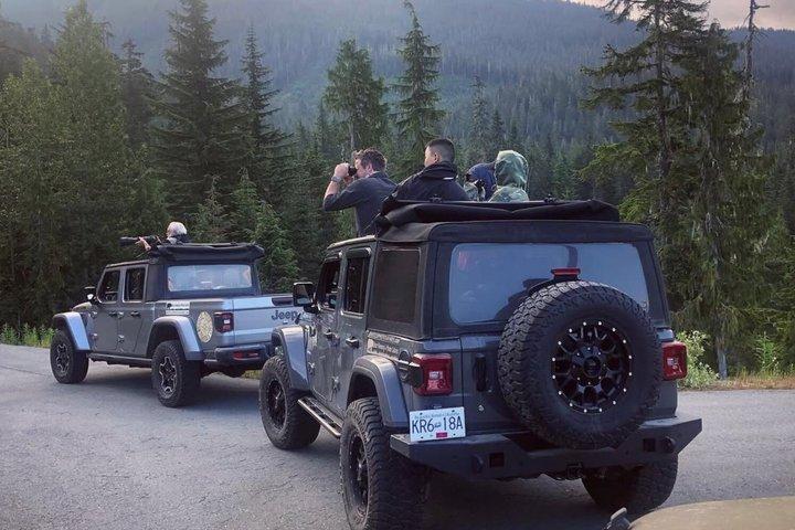 Whistler Bear Tour