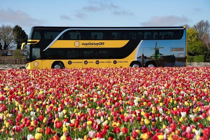 Aeroporto di Amsterdam : Tour al Keukenhof incl. biglietto e Flex andata e ritorno