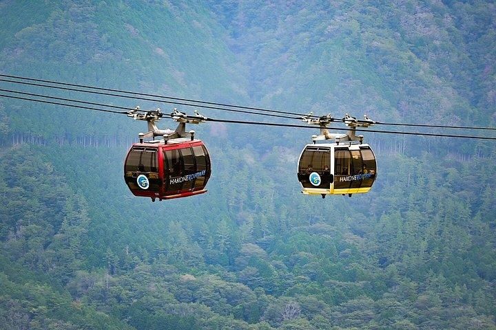 富士山と箱根車椅子対応プライベートツアー