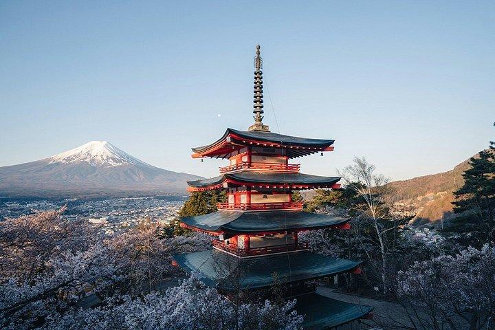 富士山と箱根車椅子対応プライベートツアー