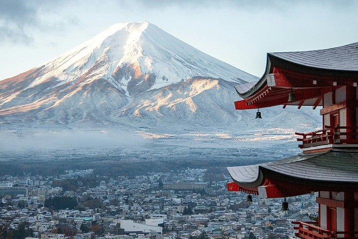 富士山と箱根車椅子対応プライベートツアー