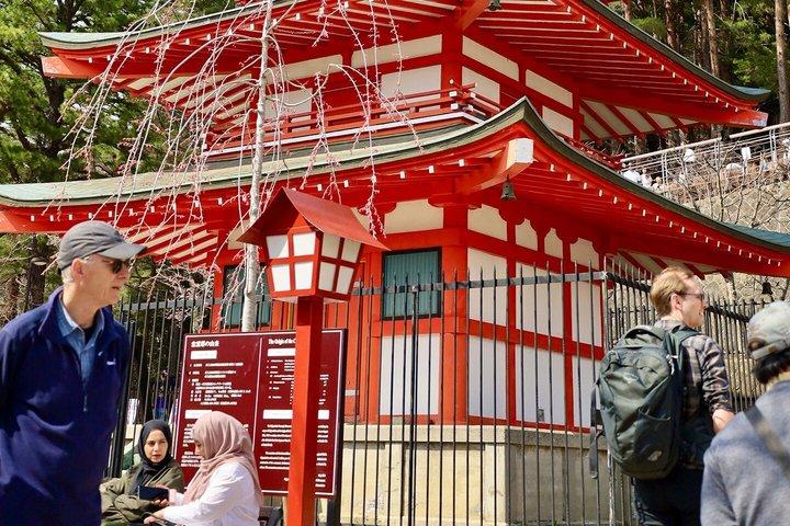 Tour privato con sedia a rotelle del Monte Fuji e Hakone