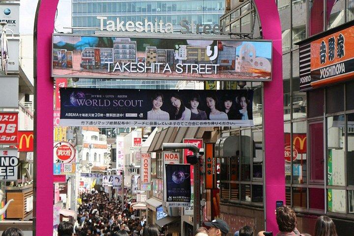 東京インスタハイライトプライベートツアー