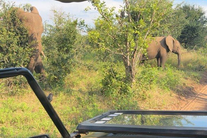 Mosi Oa Tunya National Park Game Drive and Rhino Walk