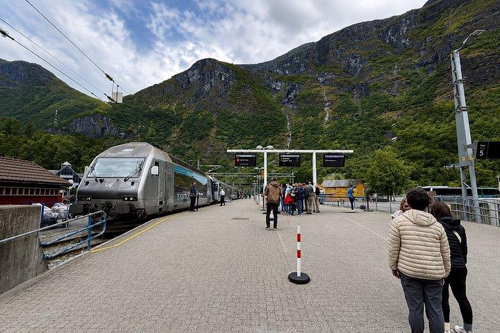 ベルゲン発：フローム鉄道、ステガステイン＆ネロイフィヨルドクルーズ