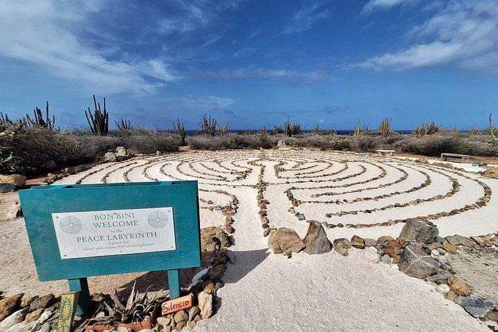 Aruba Customized eco friendly Private Island Tour