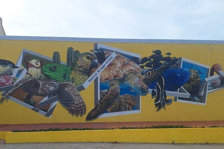 Aruba Customized eco friendly Private Island Tour