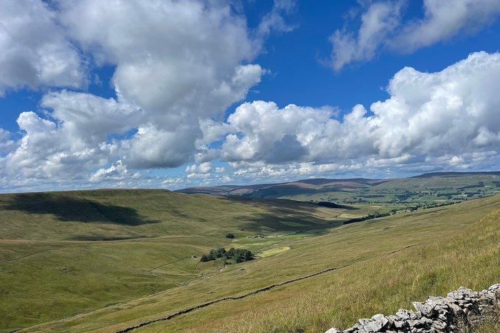 Private "All Creatures Great and Small" Yorkshire Dales Tour from Harrogate