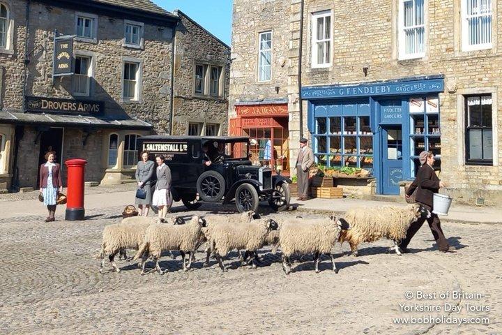 Private "All Creatures Great and Small" Yorkshire Dales Tour from Harrogate