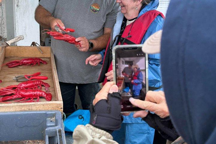 Lobsters & Legacy: An Authentic Lunenburg Experience