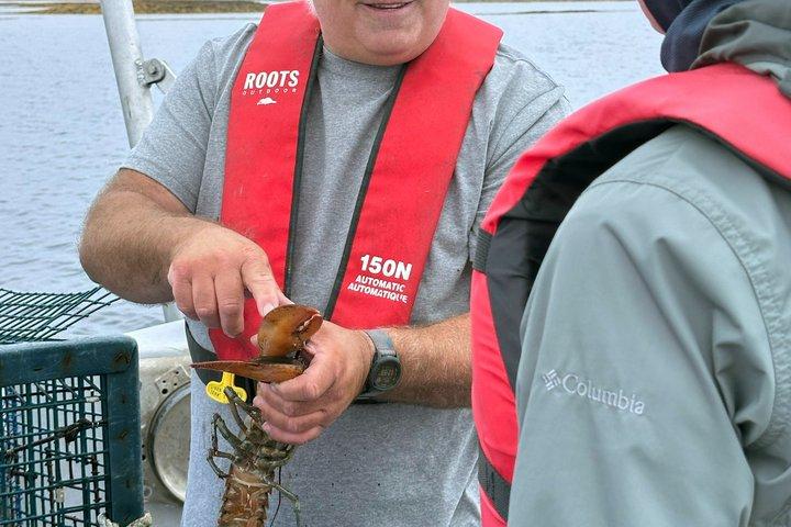 Lobsters & Legacy: An Authentic Lunenburg Experience