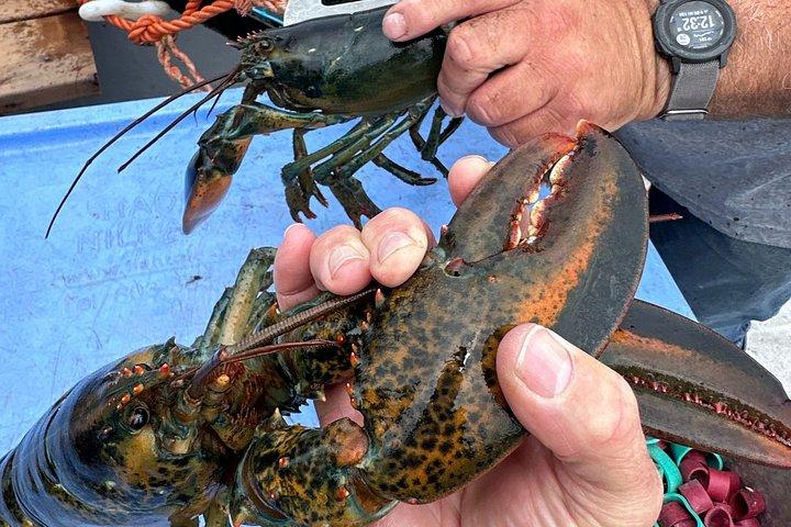 Lobsters & Legacy: An Authentic Lunenburg Experience