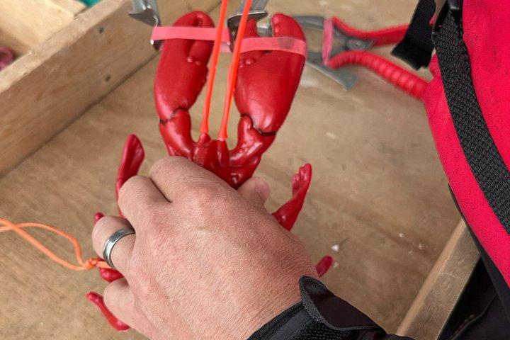 Lobsters & Legacy: An Authentic Lunenburg Experience