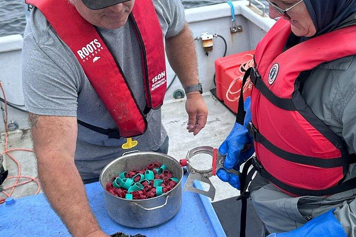 Lobsters & Legacy: An Authentic Lunenburg Experience