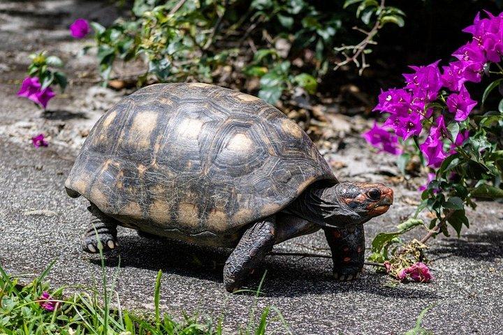 ウルワツプライベートツアージンバランでのロマンチックディナー付き