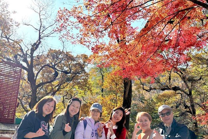 Excursion d'une journée au feuillage d'automne du parc national Naejangsan au départ de Séoul