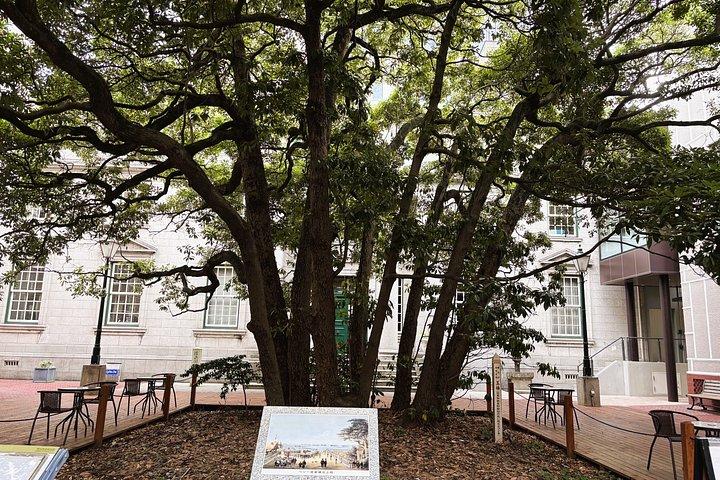 横浜ウォーキングツアー日本を世界へ玄関口へ