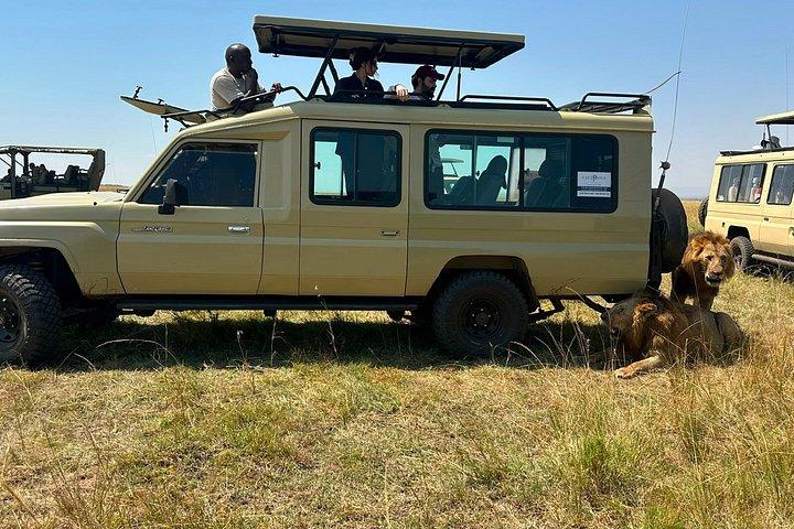 ナイロビ3日間マサイマラグループサファリ4*4車両付き
