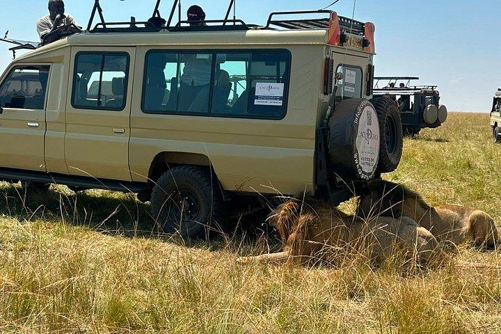 ナイロビ3日間マサイマラグループサファリ4*4車両付き