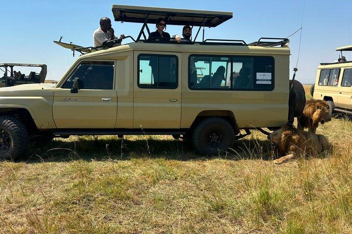 Nairobi : Safari di gruppo di 3 giorni Maasai Mara con campo di pernottamento
