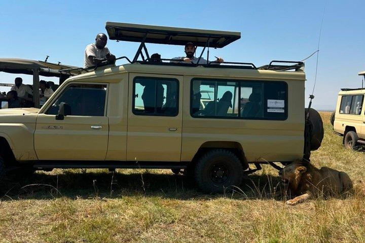 ナイロビ3日間マサイマラグループサファリ4*4車両付き