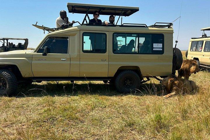 ナイロビ3日間マサイマラグループサファリ4*4車両付き
