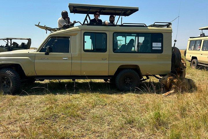 ナイロビ3日間マサイマラグループサファリ4*4車両付き
