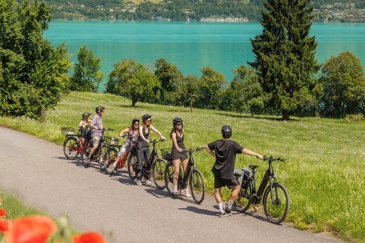 Interlaken Valley elcykeltur: Floder, sjöar, skogar och slott