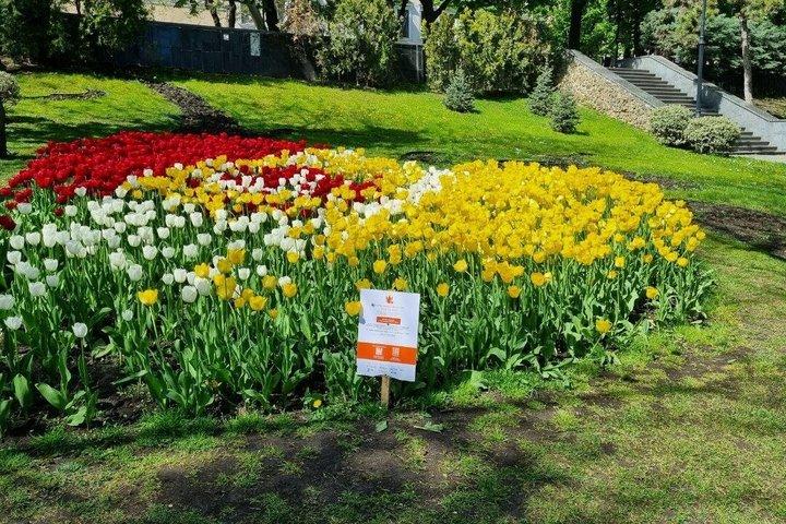 Stadtrundfahrt durch Chişinău Odessa