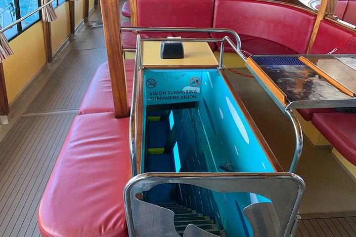 イルカとホエールウォッチングミニクルーズ（水中鑑賞付）