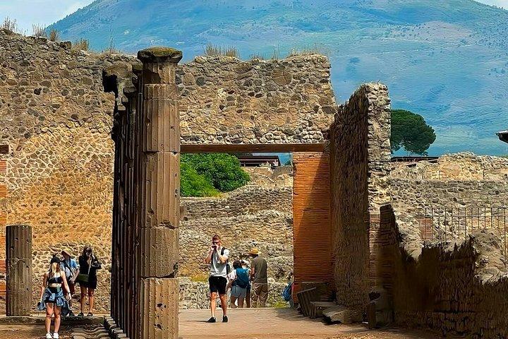 ナポリ発 ポンペイとヴェスヴィオ山日帰り旅行（チケット付き）
