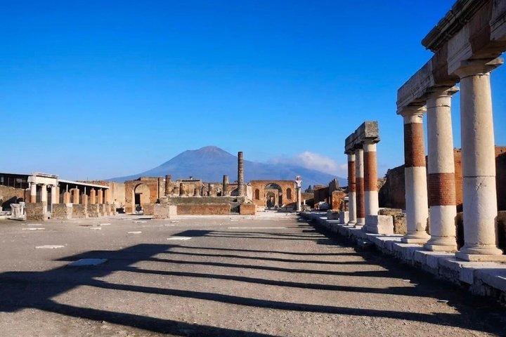 ナポリ発 ポンペイとヴェスヴィオ山日帰り旅行（チケット付き）