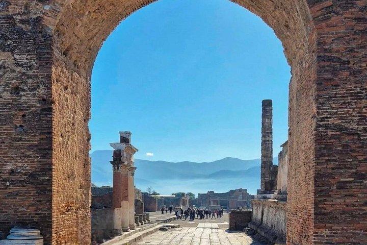 ナポリ発 ポンペイとヴェスヴィオ山日帰り旅行（チケット付き）