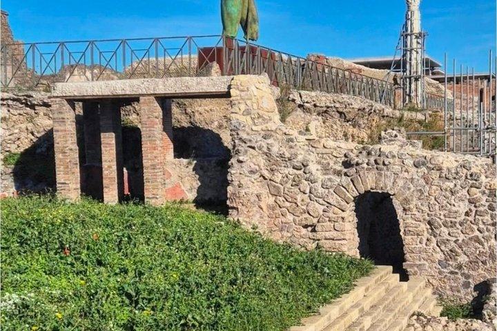 ナポリ発 ポンペイとヴェスヴィオ山日帰り旅行（チケット付き）