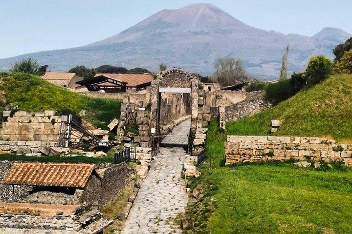 ナポリ発 ポンペイとヴェスヴィオ山日帰り旅行（チケット付き）