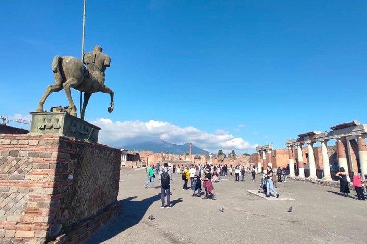 ナポリ発 ポンペイとヴェスヴィオ山日帰り旅行（チケット付き）
