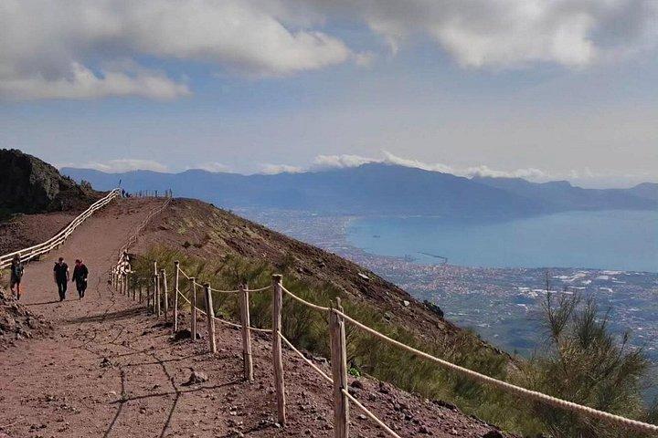 ナポリ発 ポンペイとヴェスヴィオ山日帰り旅行（チケット付き）