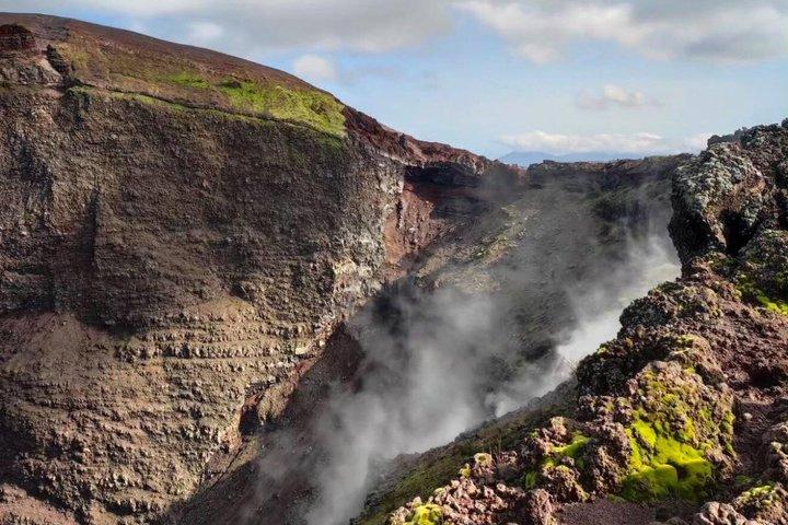 ナポリ発 ポンペイとヴェスヴィオ山日帰り旅行（チケット付き）