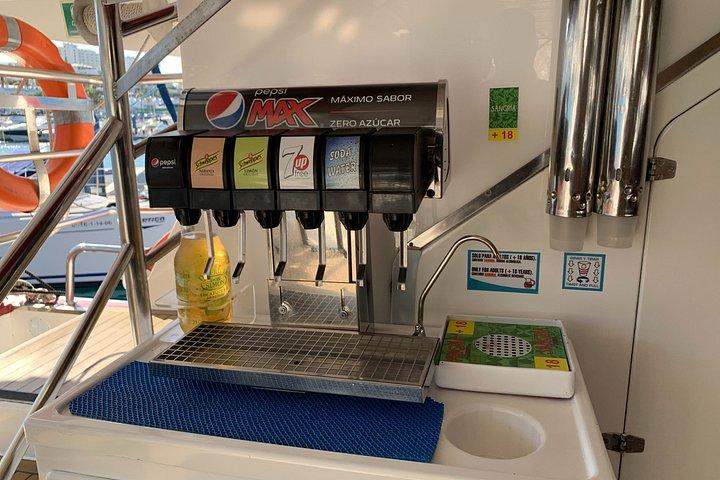 イルカとクジラウォッチングロスギガンテスマスカランチ＆スイム