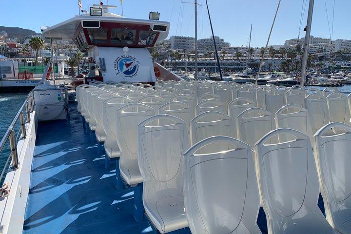 ロイヤルデルフィン3Hイルカ＆ホエールウォッチング、昼食付き
