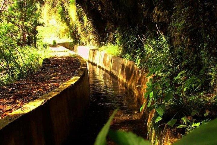 Madeira Serra d’Água Scenic Levada Walk