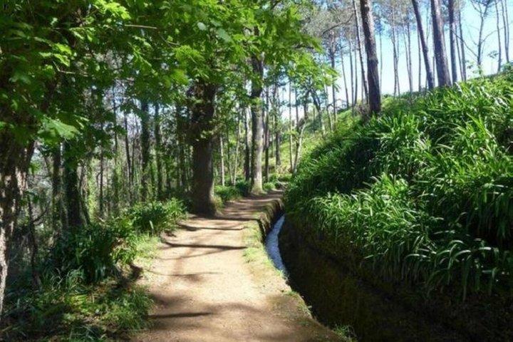 Madeira Serra d’Água Scenic Levada Walk