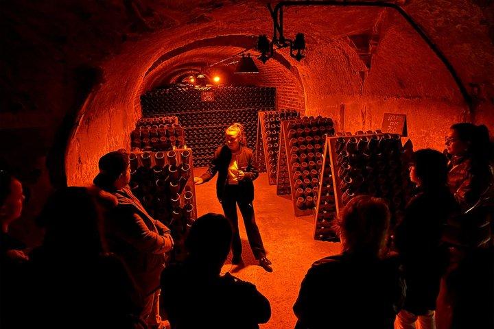 Parigi : gita di un giorno in Champagne con degustazioni, cattedrale e ritiro