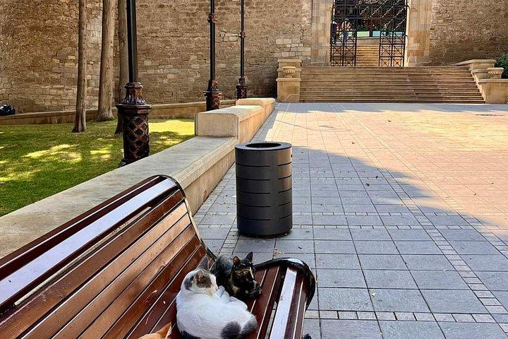 バクー旧市街＆高原公園ウォーキングツアー（プライベートガイド）