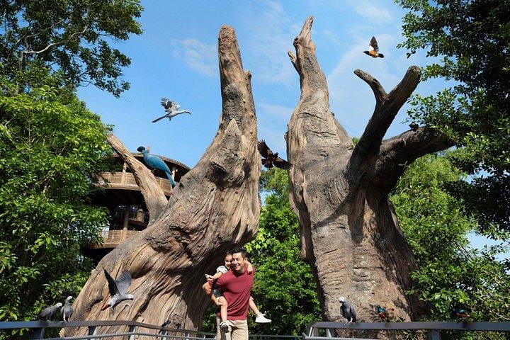Singpore Bird Paradise Ticket and Optional Attraction or Lunch