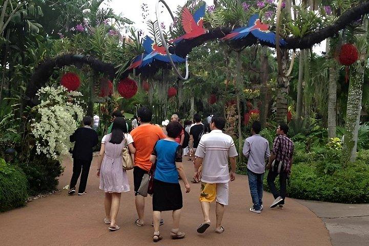 Singpore Bird Paradise Ticket and Optional Attraction or Lunch