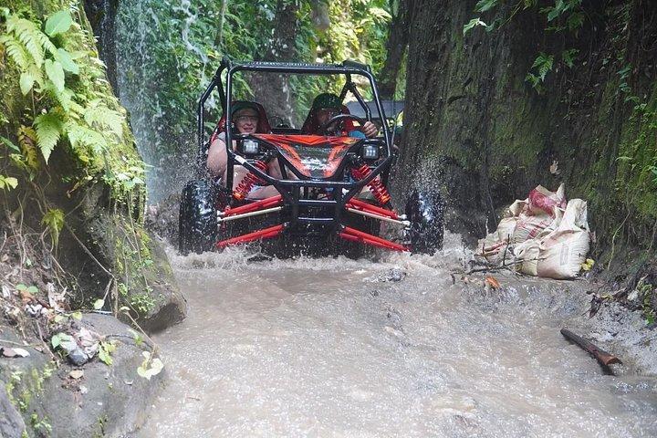 Buggy Dschungel UTV Abenteuer in Ubud